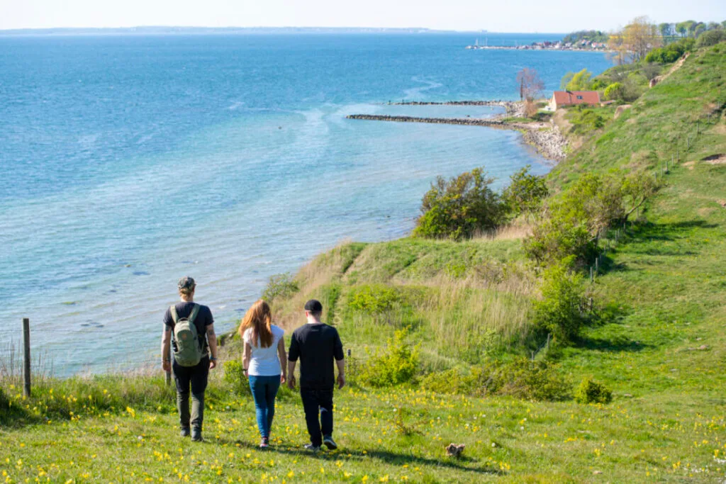 Malmö Ven